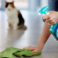 SIMPLE SOLUTION Cat Extreme Stain & Odour Remover - Pets Villa