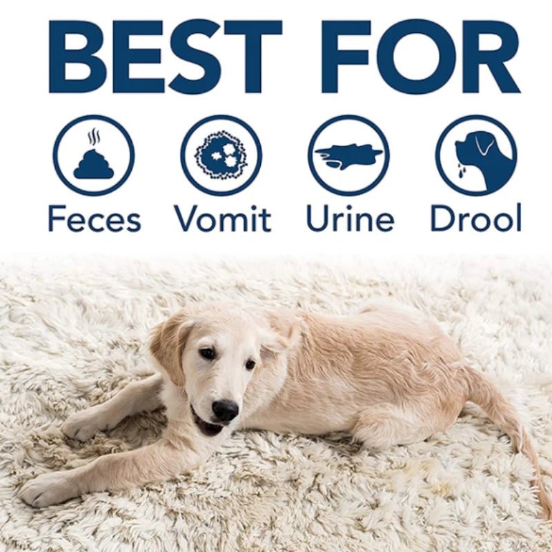 SIMPLE SOLUTION Extreme Dog Stain Odour Remover Spary 500ml