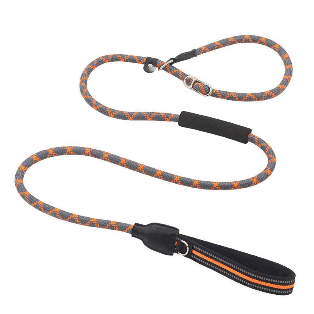 Slip Lead Dog Training