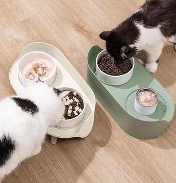 SOFT ZOO Anti Spill Creamic Bowl - Pets Villa