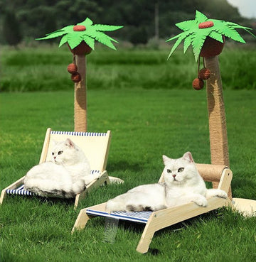 Solid Wood Coconut Tree Cat Scratcher Post & Bed - Pets Villa