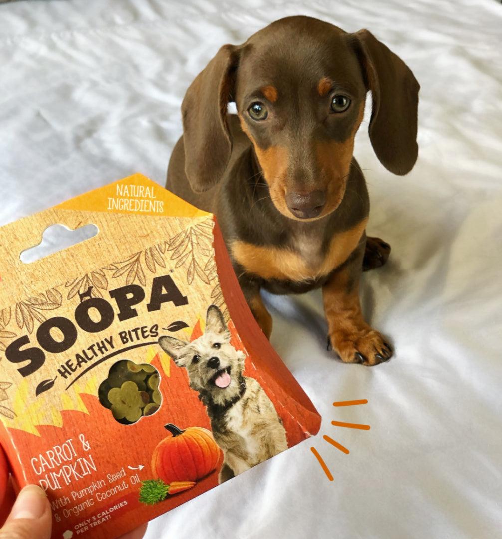 SOOPA Carrot and Pumpkin Healthy Bites for Dogs - Pets Villa