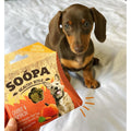 SOOPA Carrot and Pumpkin Healthy Bites for Dogs - Pets Villa