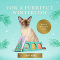 TERRA FELIS Adult Cat Winter Bundle 2023 - Pets Villa