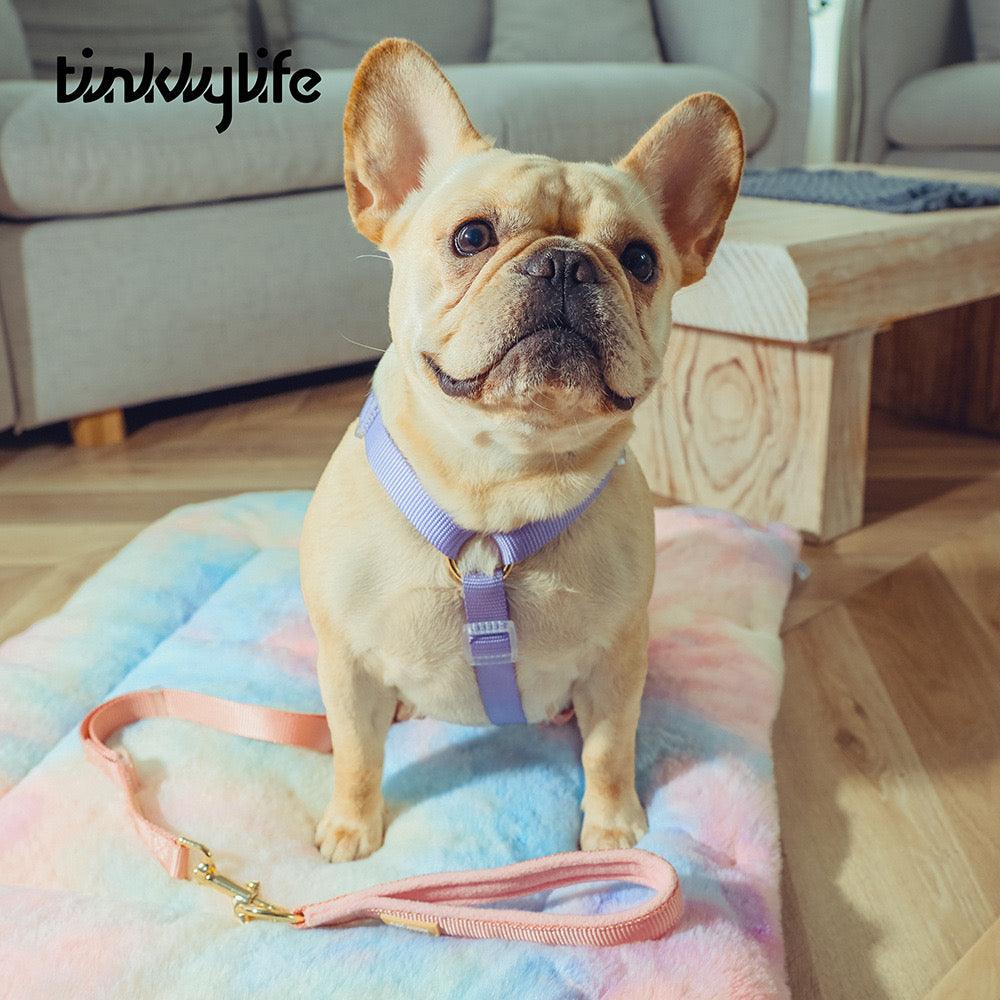 TINKLYLIFE Pet Harness - Pets Villa