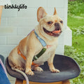 TINKLYLIFE Pet Harness - Pets Villa