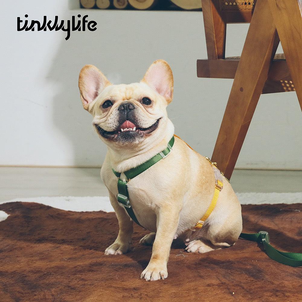 TINKLYLIFE Pet Harness - Pets Villa