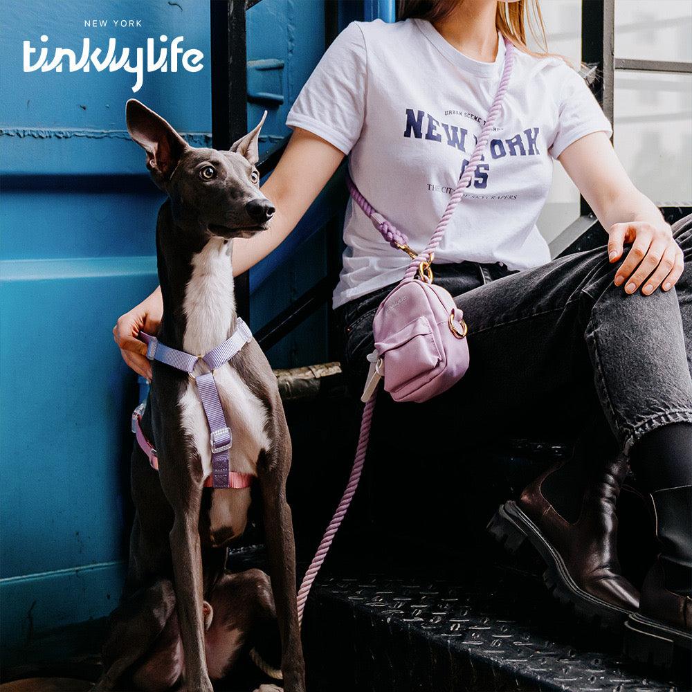 TINKLYLIFE Pet/Human Due Use Backpack - Pets Villa