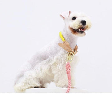 TINKLYLIFE Rope & Leather Collar - Pets Villa