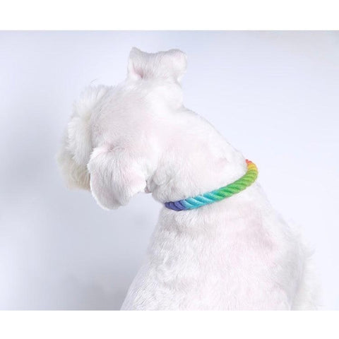 TINKLYLIFE Rope & Leather Collar - Pets Villa