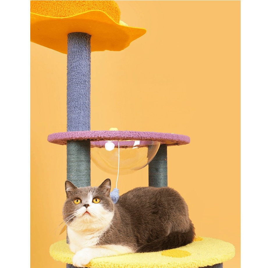 A clearance cat tree