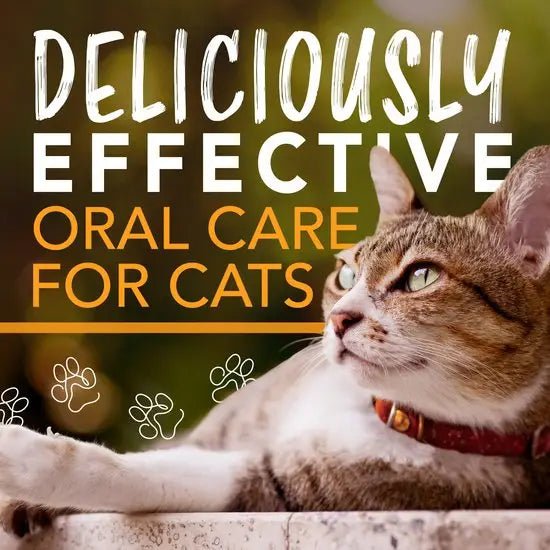 TROPICLEAN Enticers Teeth Cleaning Gel For Cats - Pets Villa