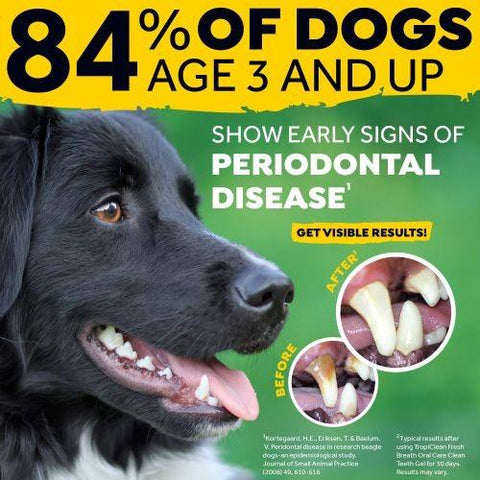 TROPICLEAN Fresh Breath Dental 2 Week Trial Kit - Pets Villa