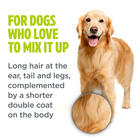 TROPICLEAN Perfect Fur Combination Coat Shampoo For Dogs - Pets Villa