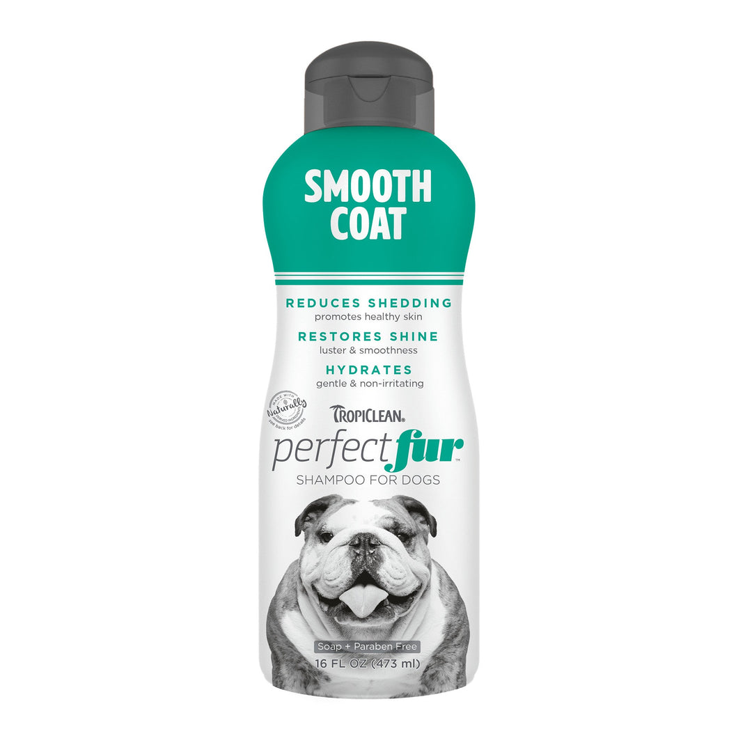 Tropiclean Perfect Fur Smooth Coat Shampoo For Dogs – Pets Villa