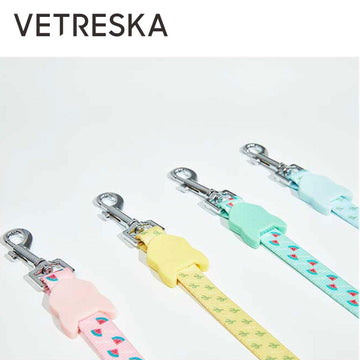 VETRESKA Dog Collar and Leash Set Yellow - Pets Villa