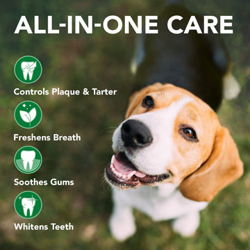 VET'S BEST Dog Triple Headed Toothbrush & Dental Gel Toothpaste Kit