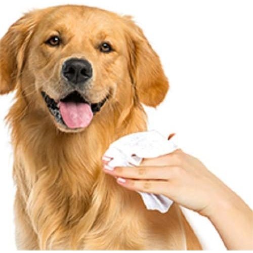VET'S BEST Flea and Tick Wipes for Dogs - Pets Villa