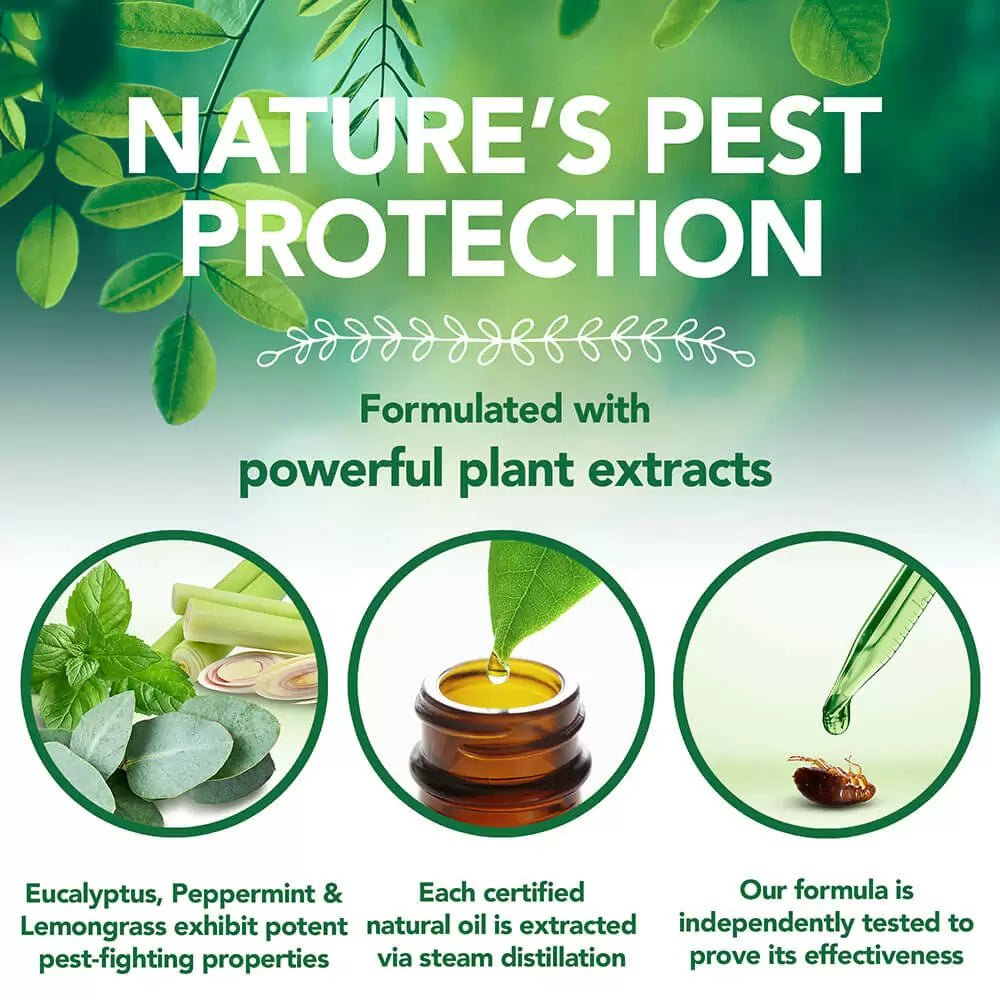 Best flea spray sales uk