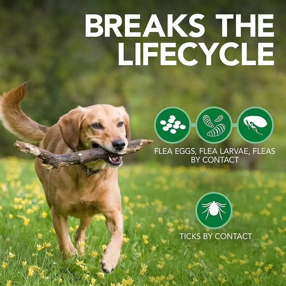 Best flea killer clearance for puppies