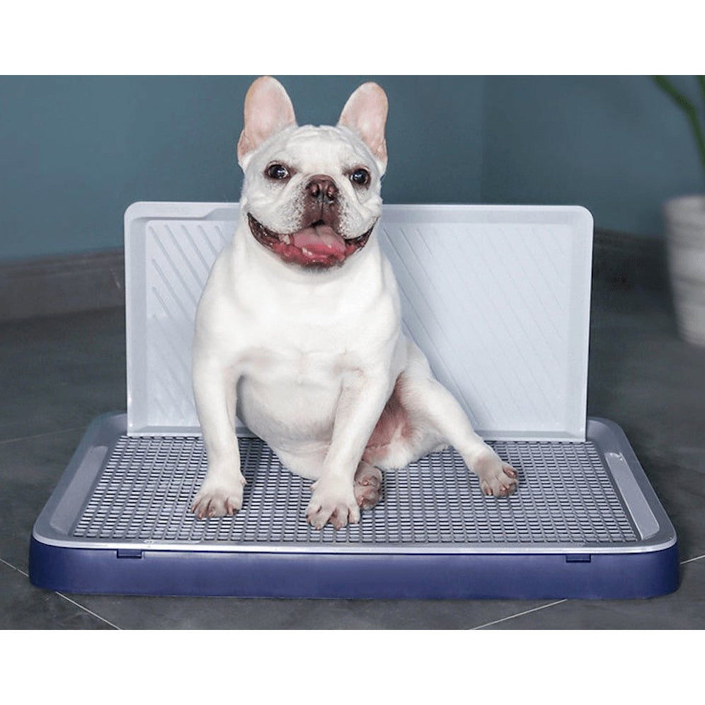 Doggy potty hot sale