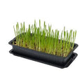 VITAKRAFT Cat Grass - Pets Villa