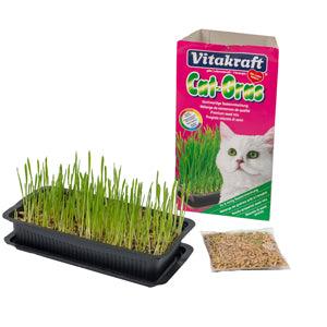 VITAKRAFT Cat Grass - Pets Villa