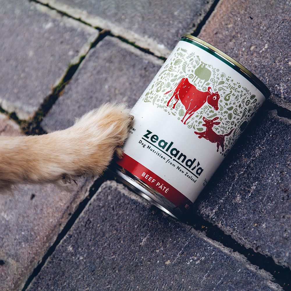 ZEALANDIA Beef Pate for Dogs 170g Pets Villa