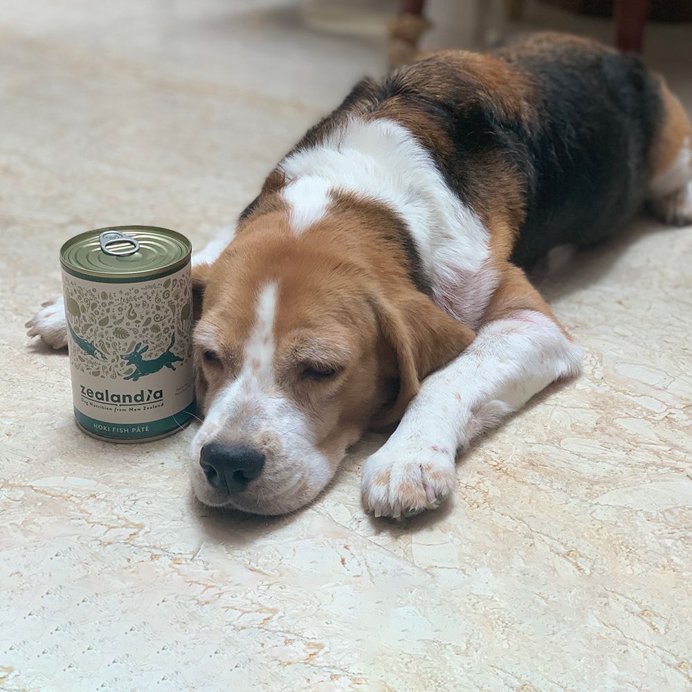 ZEALANDIA Hoki Fish Pate for Dogs 170g Pets Villa