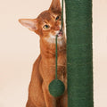 ZEZE Cactus Cat Scratching Post - Pets Villa