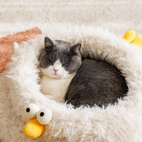 ZEZE Chicken Pet Mat/Bed - Pets Villa