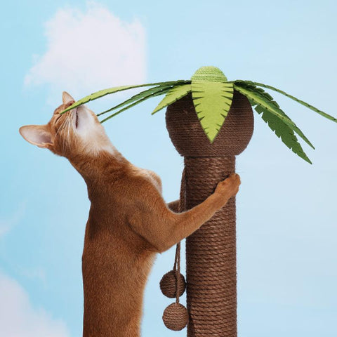 ZEZE Coconut Tree Scratching Post - Pets Villa