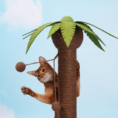 ZEZE Coconut Tree Scratching Post - Pets Villa