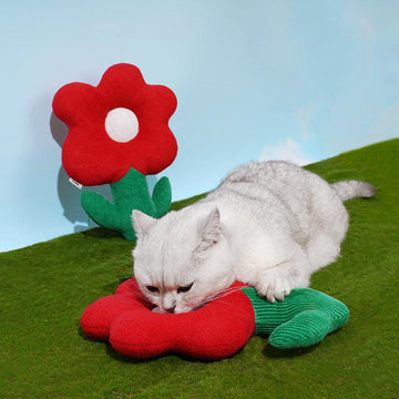 ZEZE Flower or Cotton Catnip Toy