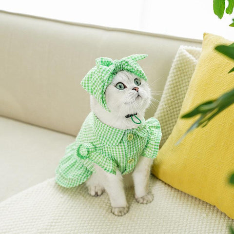 ZEZE Green Checked Hat & Dress Suit - Pets Villa