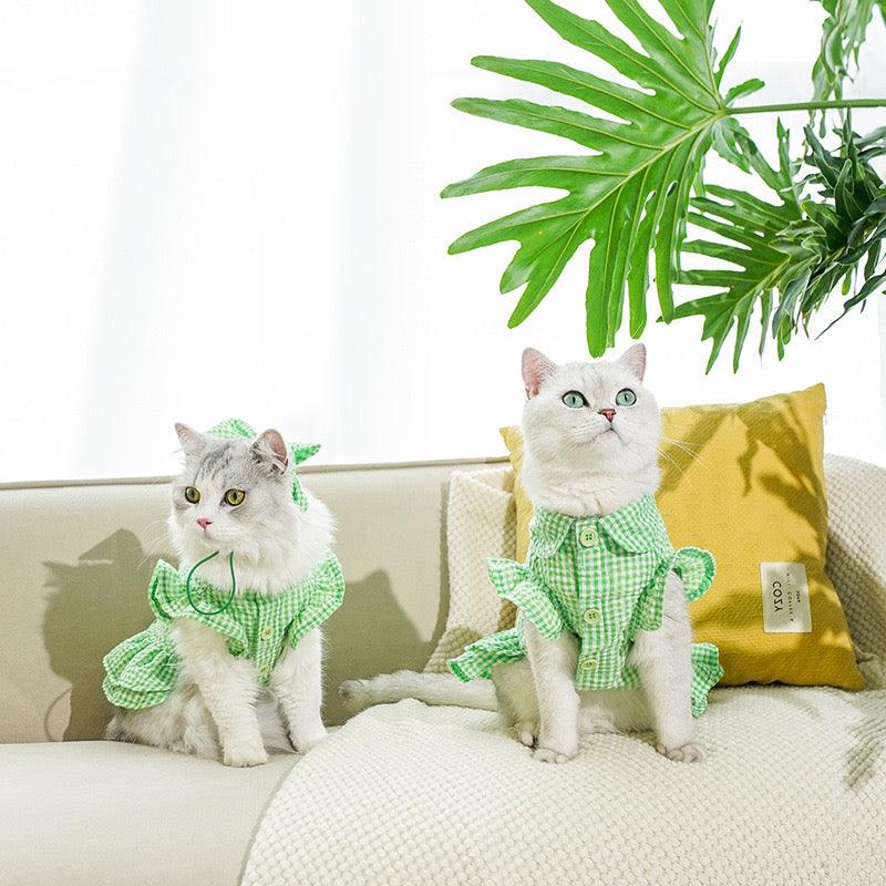 ZEZE Green Checked Hat & Dress Suit - Pets Villa